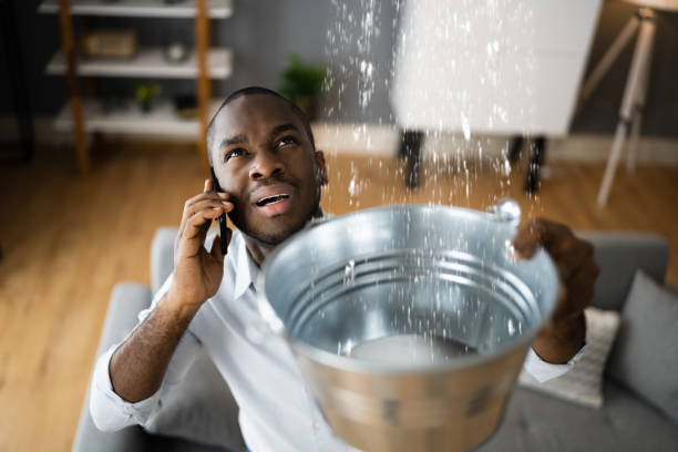 Best Local water damage restoration  in Medina, TX