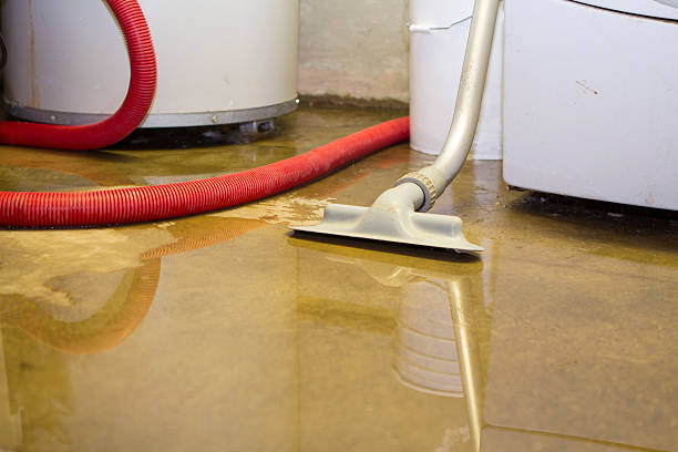 Best Sewage cleanup and water damage restoration  in Medina, TX